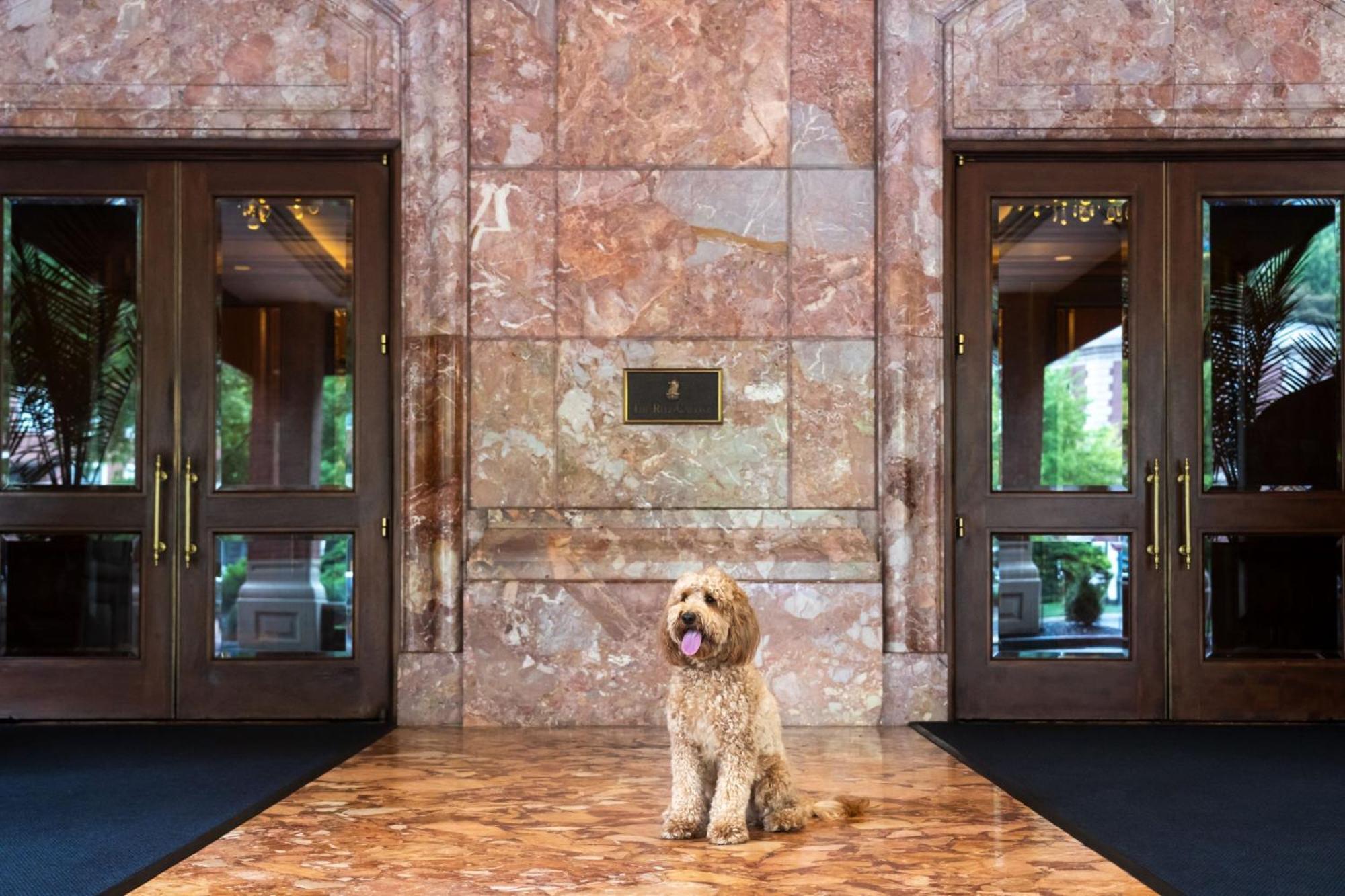 The Ritz-Carlton, St. Louis Hotel Clayton Exterior foto